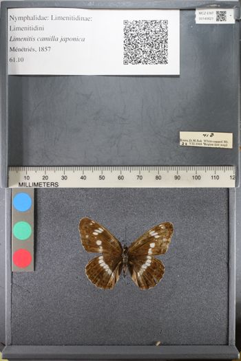 Media type: image;   Entomology 140621